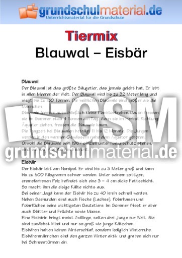 Blauwal - Eisbär.pdf
